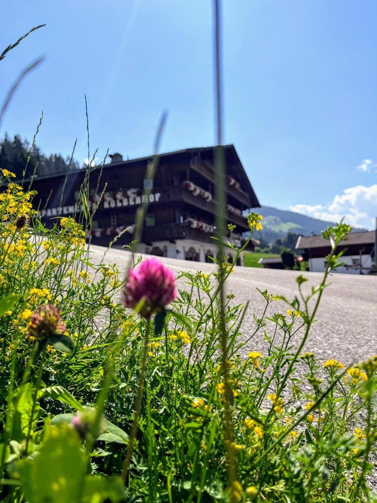 Appartements Kolberhof Alpbach Exterior foto